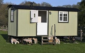 Shepherds Hut